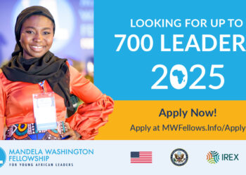 Fellowship Opportunities for Young Africans