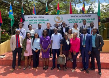 Here’s How the African Union (AU) Media Fellowship is Empowering the Next Generation of African Journalists